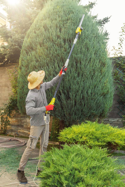 Best Storm Damage Tree Cleanup  in Mullens, WV